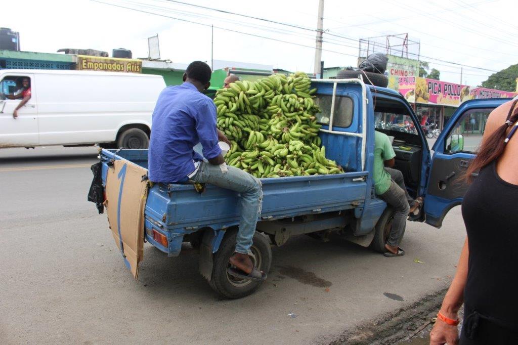Bananenwagen Bananen Dominikanische Republik Bananenwagen Bananen Dominikanische Republik San Pedro de Macoris