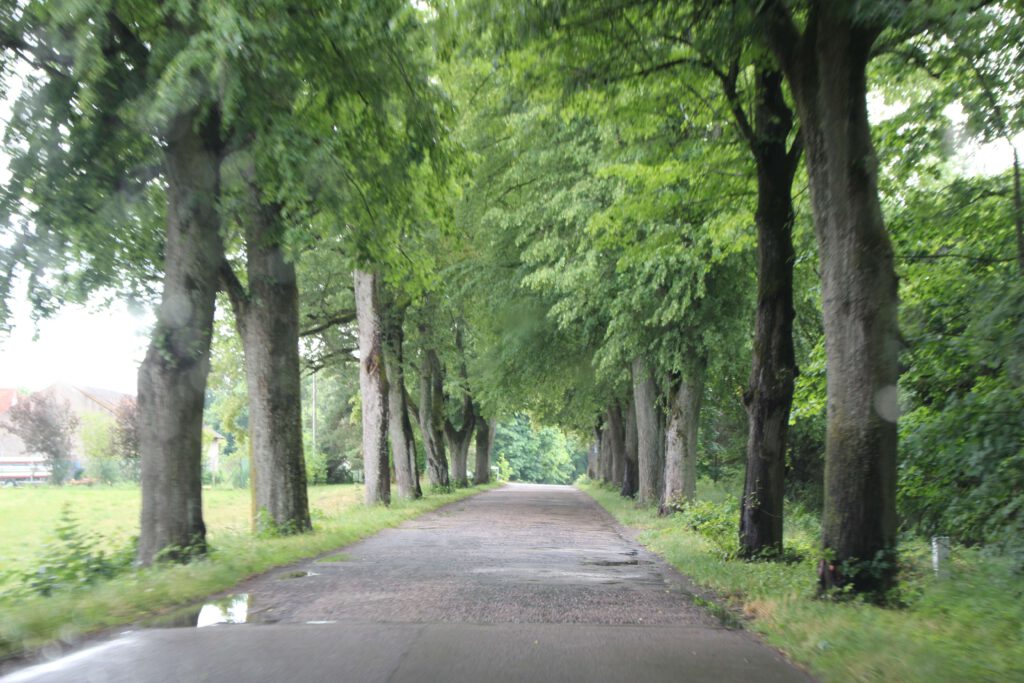 Aleen Polen unterwegs in Polen Landschaft Natur Bäume.