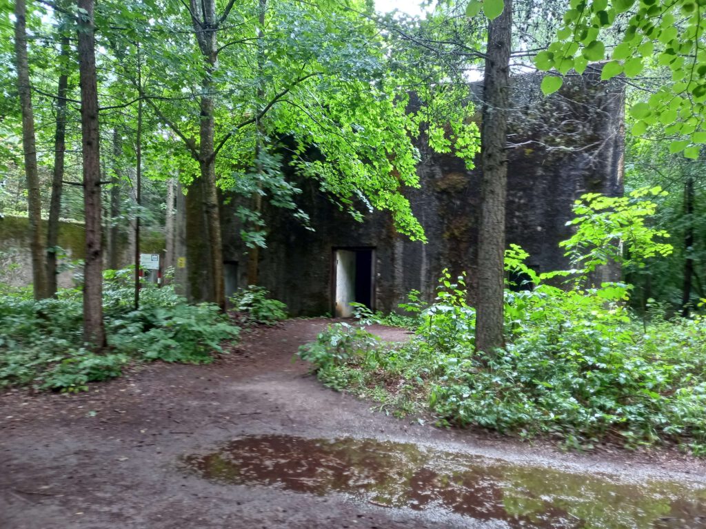 Mauerwald Mamerki