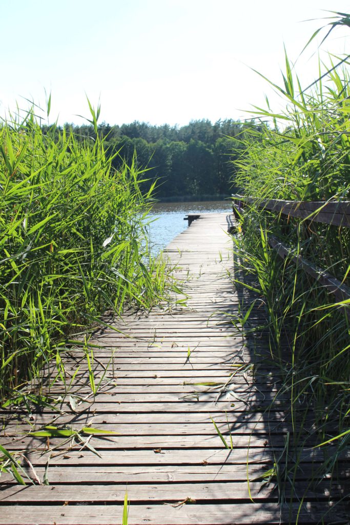 Kuty Masuren Steeg am See