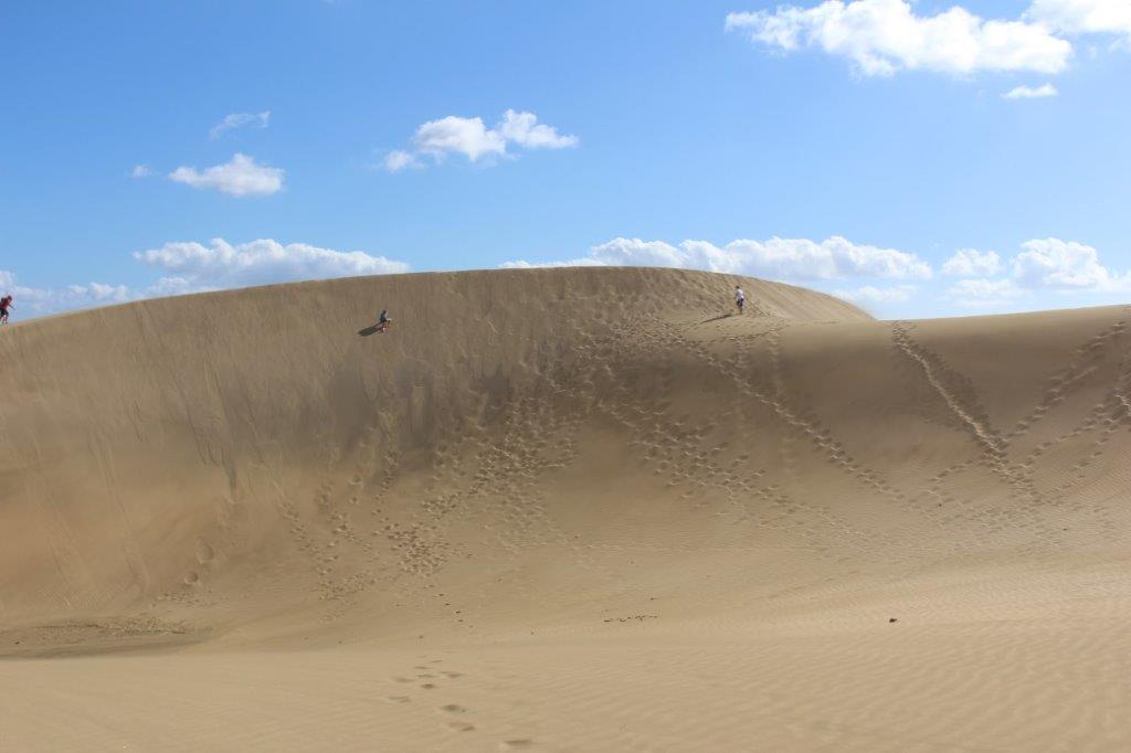 Dünen von Maspalomas
