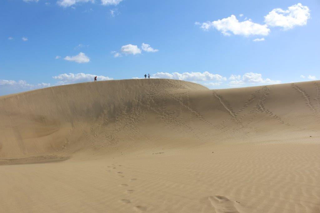 Dünen von Maspalomas