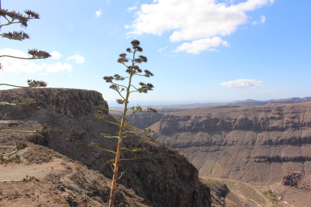 Berglandschaft Gran Canaria