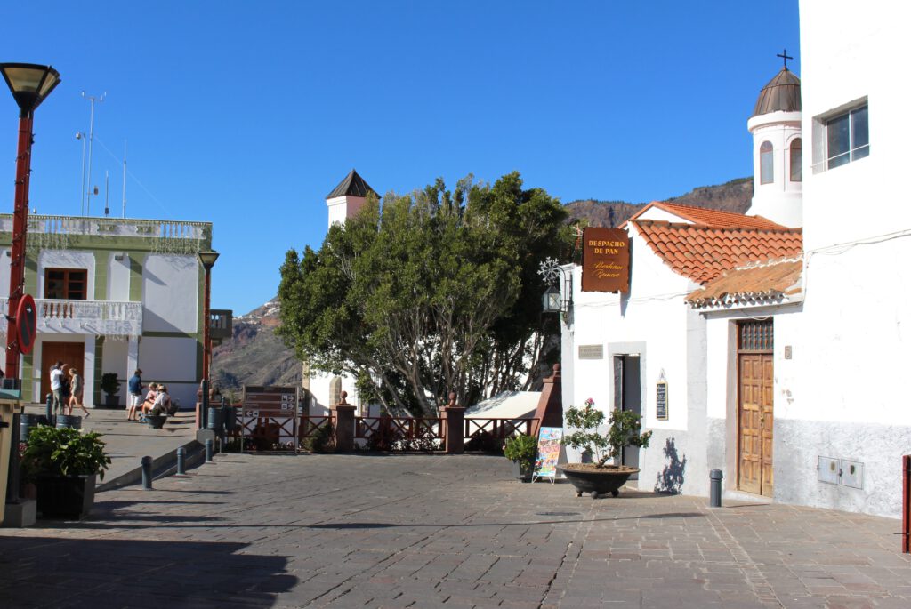 Bergdorf Tejeda
