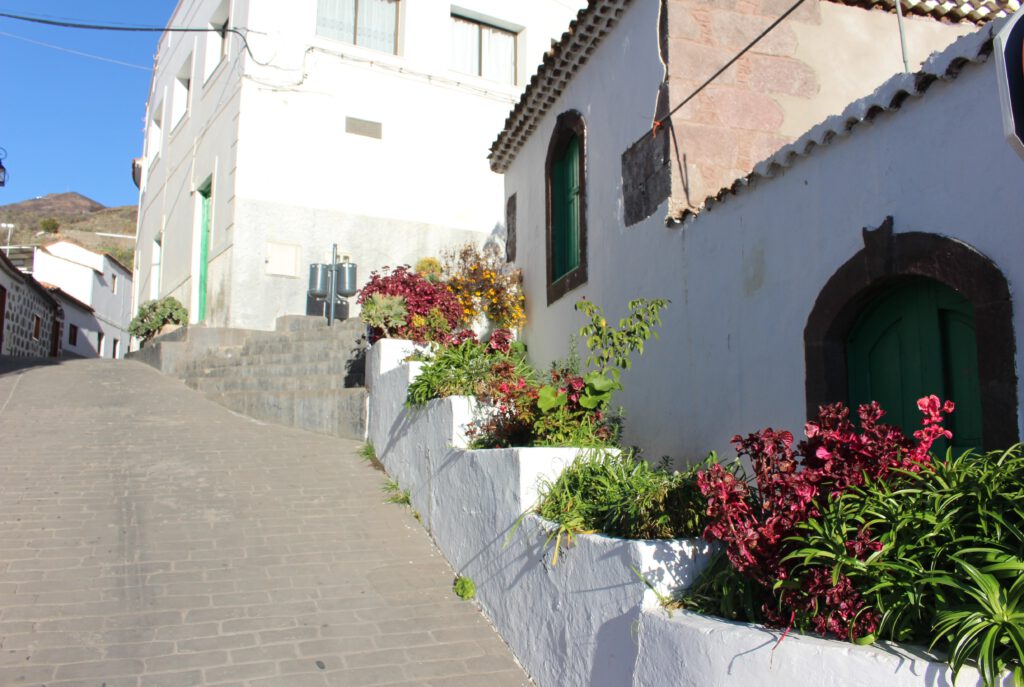 Tür Gran Canaria