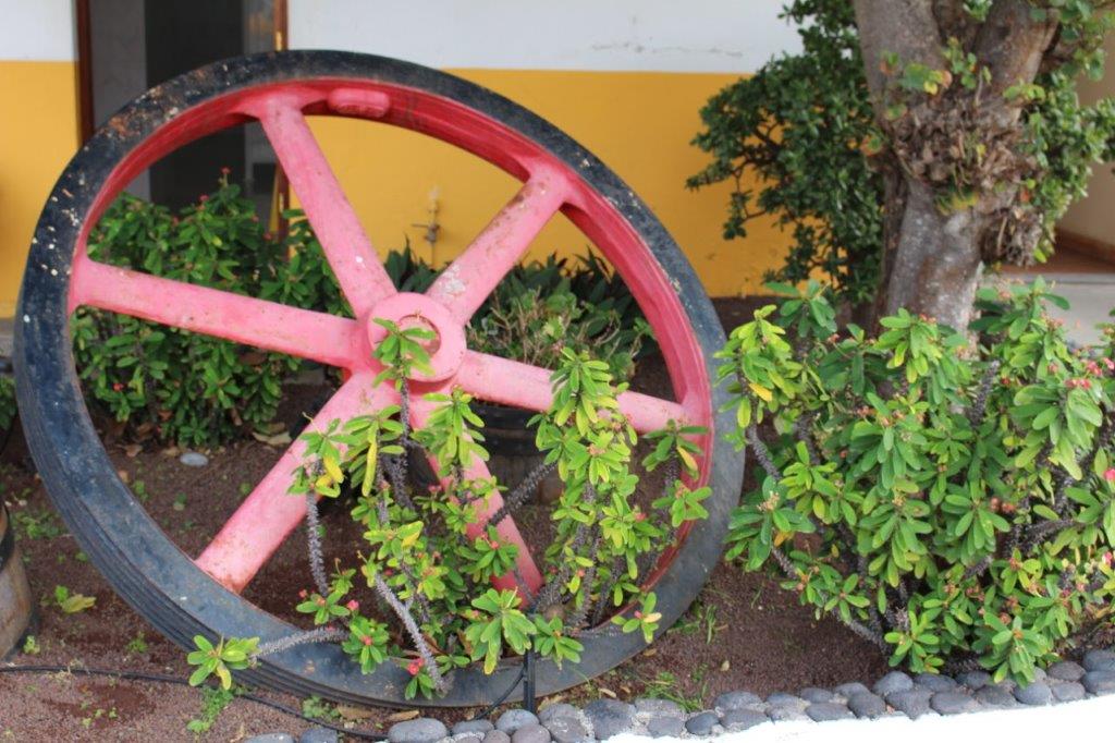 Arucas Arehucas Wagenrad