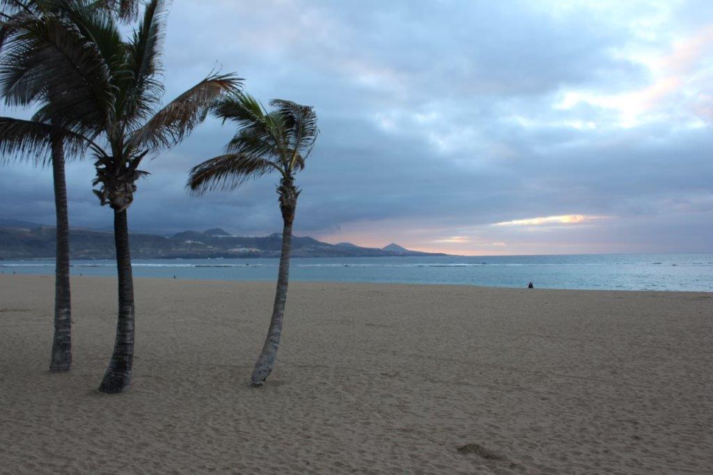 Playa de las Canteras Las Palmas Gran Canaria