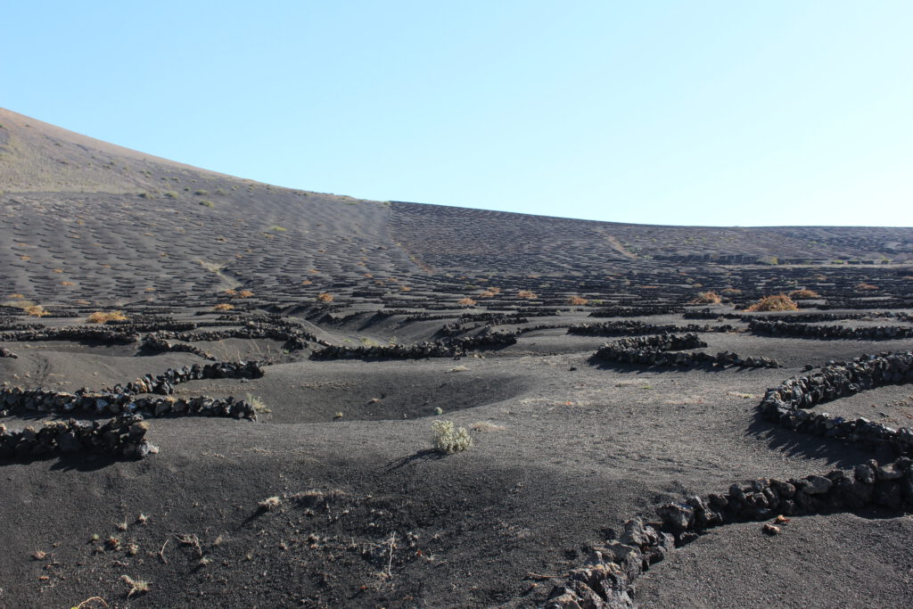 Lanzarote La geria
