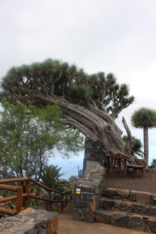 Mirador de los Dragos