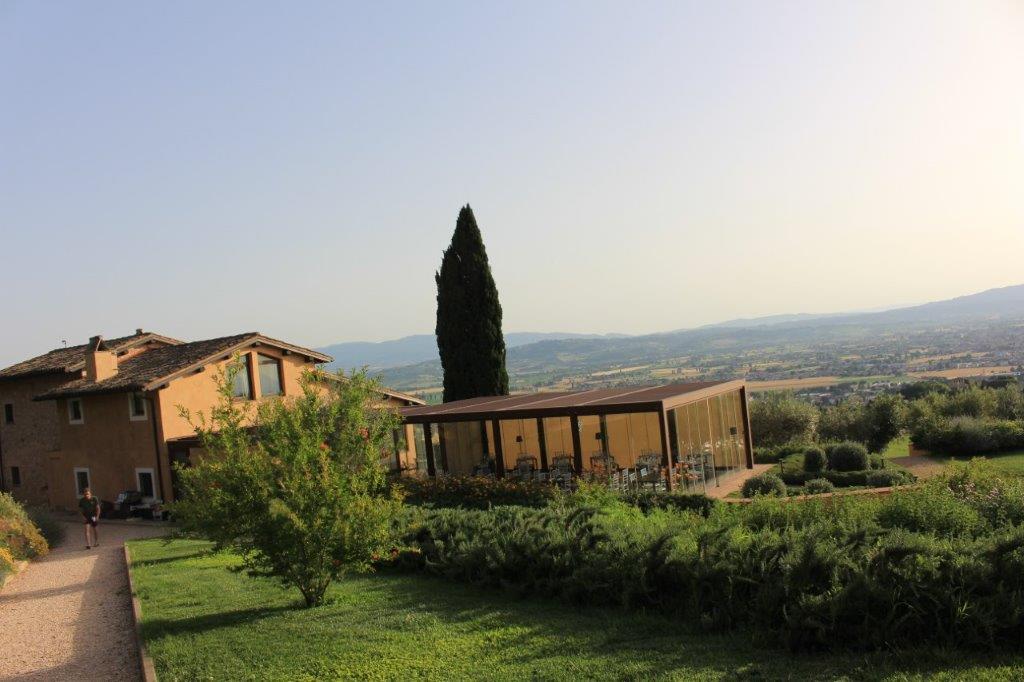 Hotel Quercetta in Umbrien, Italien, Olivenwald
