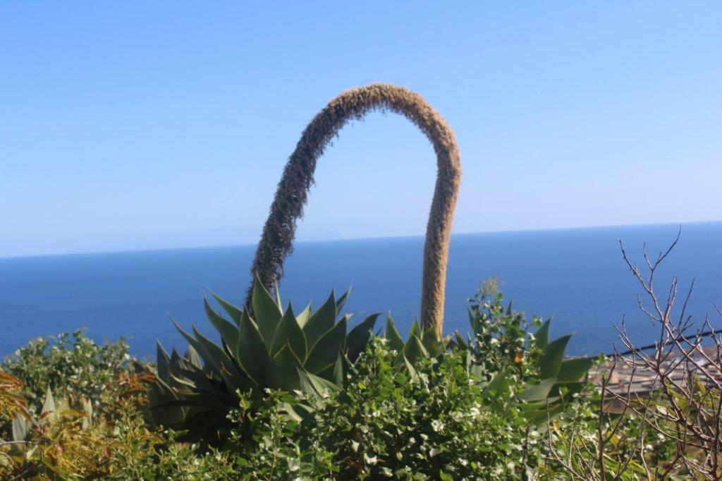 La Palma Isla Bonita