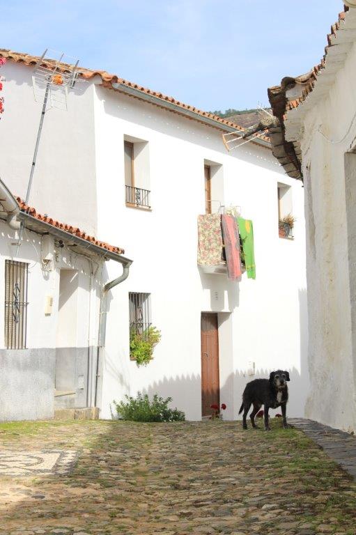 Linares de la Sierra Andalusien Huelva Spanien