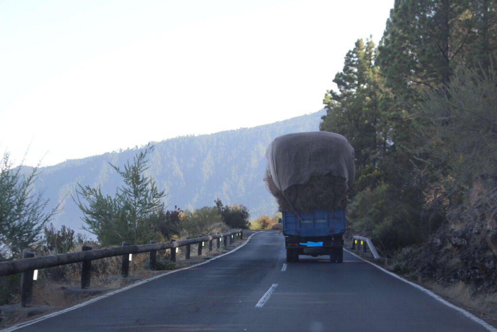 Auf dem Weg zum Teide
